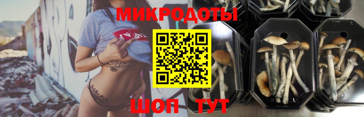 Галлюциногенные грибы Psilocybine cubensis  Псилоцибиновые грибы мицелий  Вход с VPN  Тобольск 